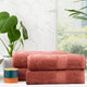 Renee Taylor Stella Bamboo Towel Sets Brick