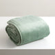 Renee Taylor Plush Velvet Blanket Eucalyptus