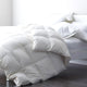 Renee Taylor Classic 50% White Duck Feather and Down Quilt