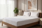 English Garden Pure Cotton Fitted Bed Sheet Combo