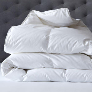 Renee Taylor Australian Pure Merino Wool Quilt 550 Gsm