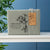 Park Avenue Bamboo Cotton sheets 500 TC set Jade