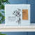 Park Avenue Bamboo Cotton sheets 500 TC set Mid Blue
