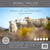 Renee Taylor Australian Pure Merino Wool Quilt 350 GSM