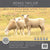 Renee Taylor Australian Pure Merino Wool Quilt 550 Gsm