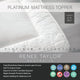 Renee Taylor Platinum Mattress Topper High loft 1500 GSM
