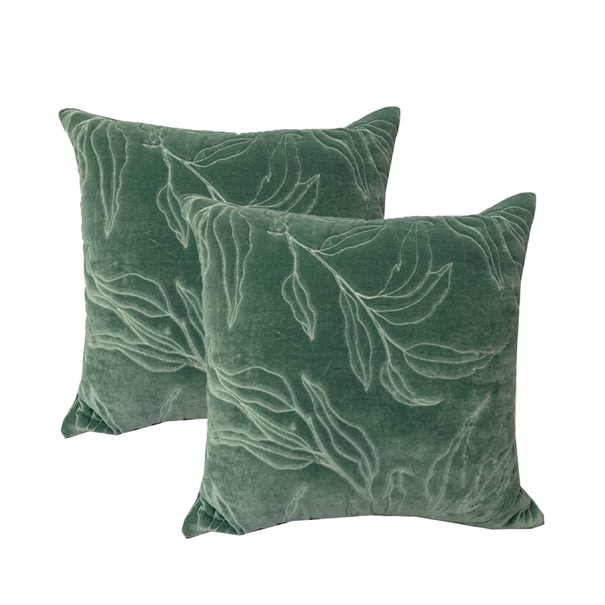 Cloud Linen Sophie Cotton Velvet Cushions Juniper 50 x50 Cms Twin Pack