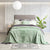 Renee Taylor Plush Velvet Blanket Eucalyptus