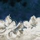 Renee Taylor Printed Mink Acrylic Blankets Queen/ King Snowdrop