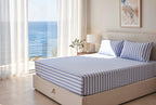 Coastal Bliss Pure Cotton Fitted Bed Sheet Combo