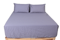Hobart Mist Pure Cotton Fitted Bed Sheet Combo
